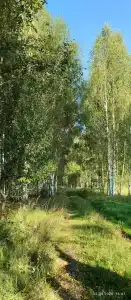 Харвик-холл - 34