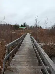 Родники - 62