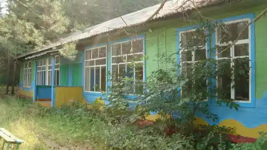 Ласточка - 10