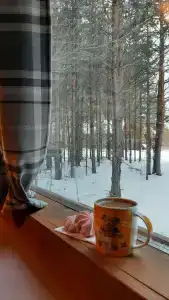 Таежная Рось - 46