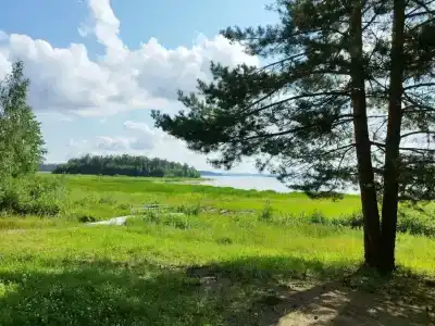 Рассвет - 12