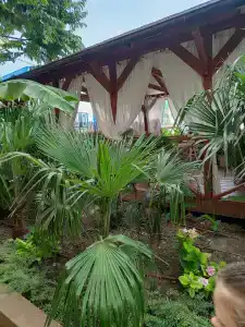 Panorama&Spa - 37