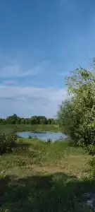 Благодать - 6
