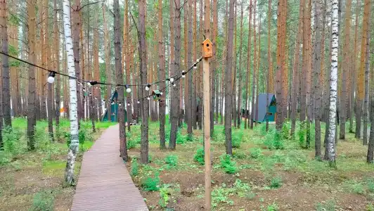 Шелест - 19