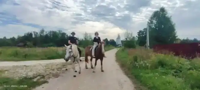 Усадьба Галат - 55