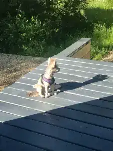 Ильинка Вилладж - 26