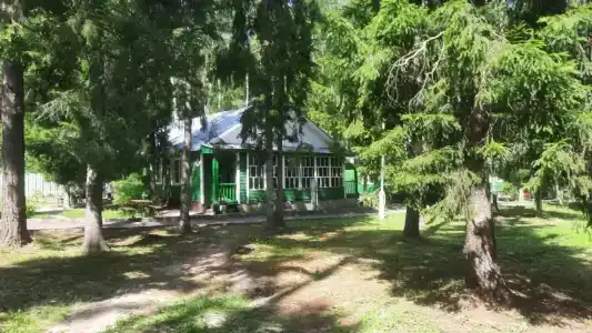 Сосновый берег - 0