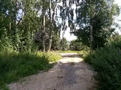 Вегвизир - 43