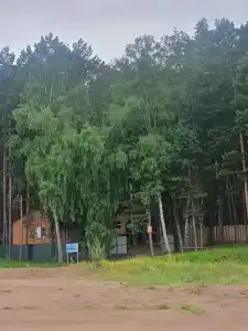 Место под солнцем - 3