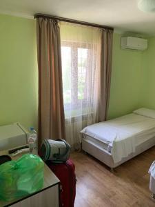 Дельфиния - 75