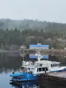 Нереис - 26
