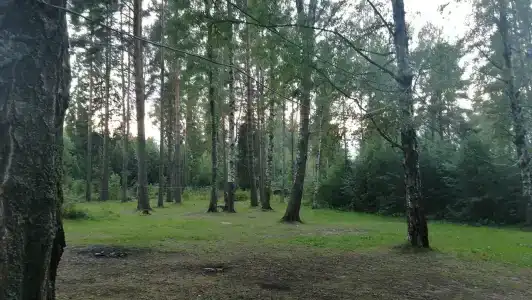 Парус - 17
