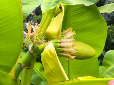 Гостевой дом у Кедра - 32