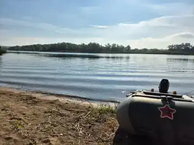 Светлячок - 19