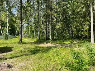 Санаторий-Профилакторий Лесная Поляна - 10