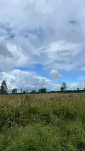 Утро на заводи - 29