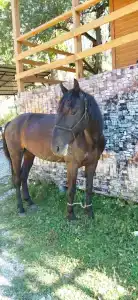 Лайт Хаус - 7