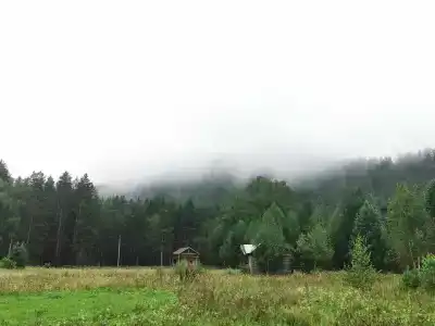 Ологужан - 40