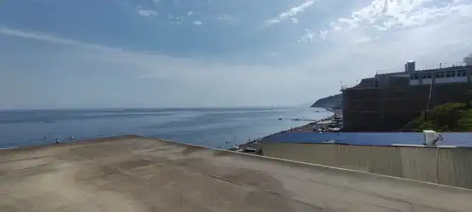 со слоном - 21