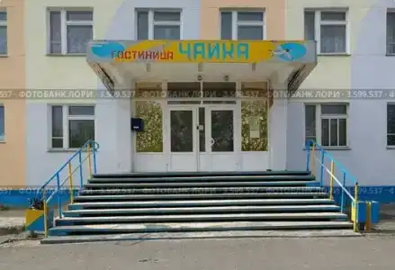 Чайка - 6