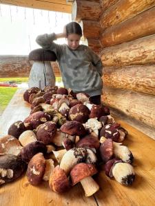 Челмужская усадьба - 52