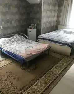 Кингфишер - 25