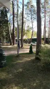 Бунырвилль - 30