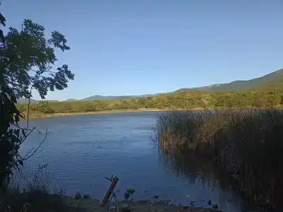 Скелепарк - 71