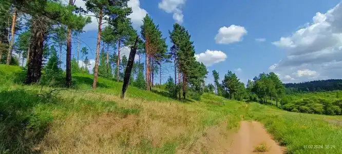 В гостях у Павловича - 11