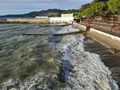 Беларусь - 14