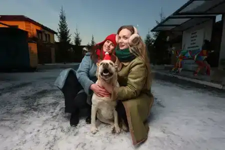 У-Дача - 1