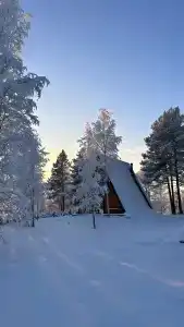 Хутор Марья - 85