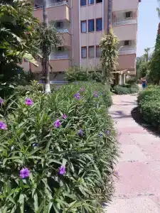 Saritas Only FamİLy Concept - 50