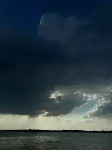 Сокол - 11