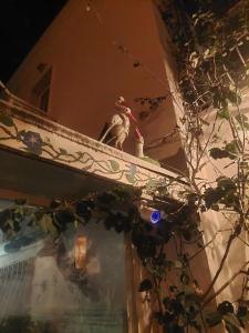 Bodrum Sade Pension - 32