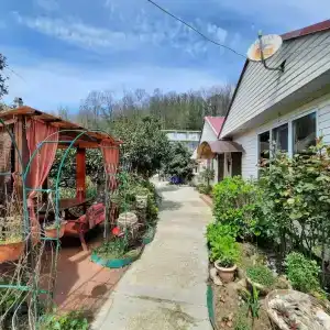 Усадьба Пантелея - 47