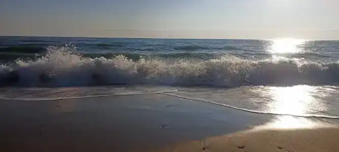 Клубный-дом-янтарь - 48