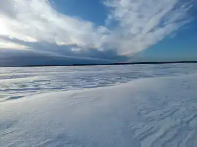 Вектор - 28