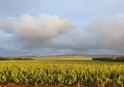 Гостевой дом на Анапском, 4 - 16