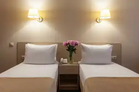 Бристоль - 38