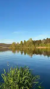 Ивушка - 27