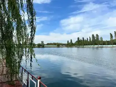 База отдыха у Василича - 31