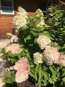 Шале Синегорье - 88