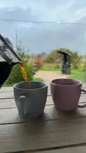 Дом Аиста - 36