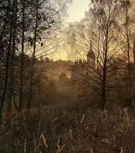 БеМе - 5