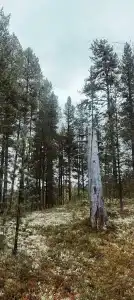 Глэмпинг Гиперборея - 57