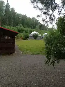 Филин дом - 48
