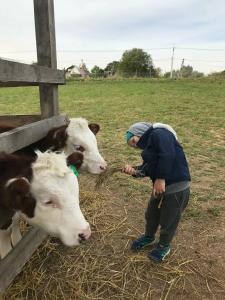 Треугольный стильный дом рядом с сыроварней - 52