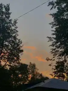 Городец - 49