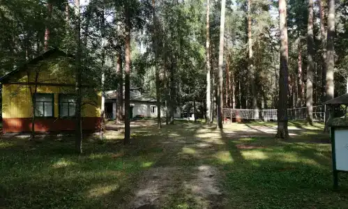 Сосновая роща - 6